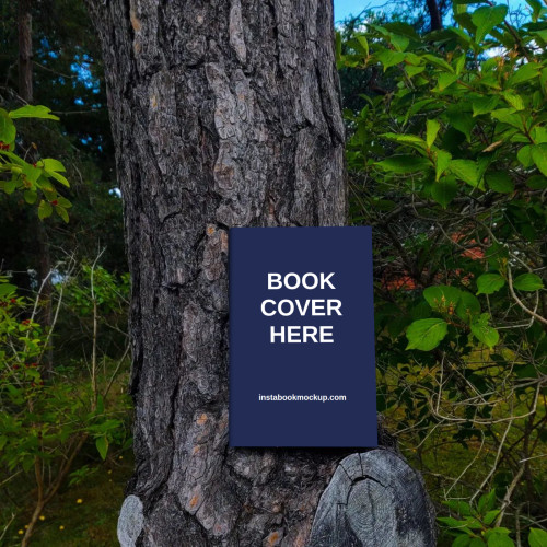 lonely reads in mystical forest