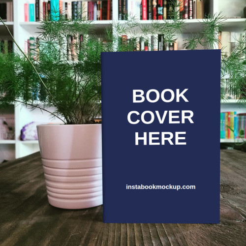 bookshelf and flowerpot